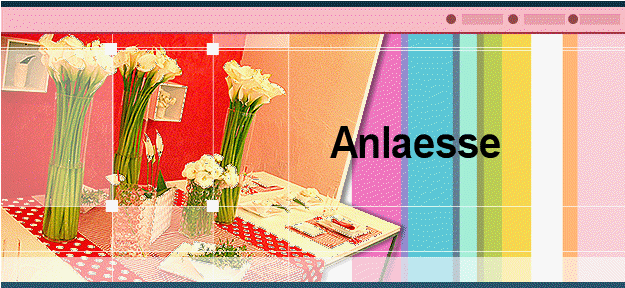 Anlaesse