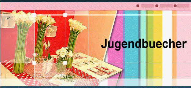 Jugendbuecher