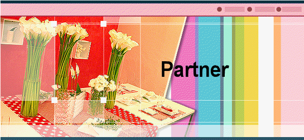 Partner